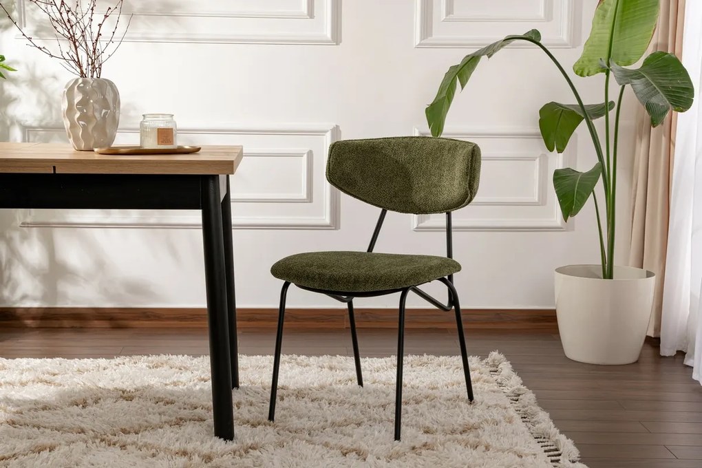 Sada jedálenských stoličiek Nancy Green and Black,2 ks