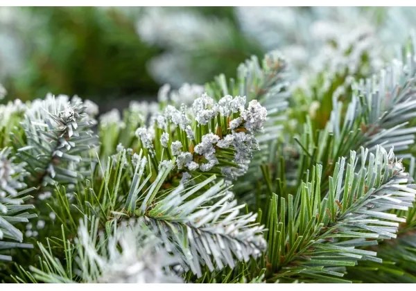 Vianočný veniec, priemer 54 cm