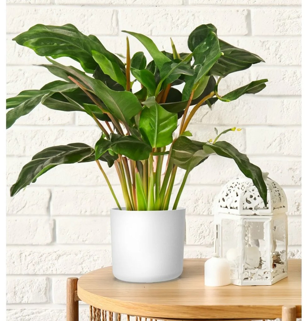 Gardenico Kvetináč Lora biela, pr. 25 cm, pr. 25 cm