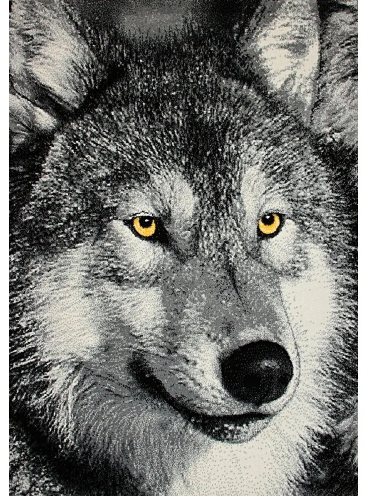 Kusový koberec Vlk sivý, Velikosti 133x190cm