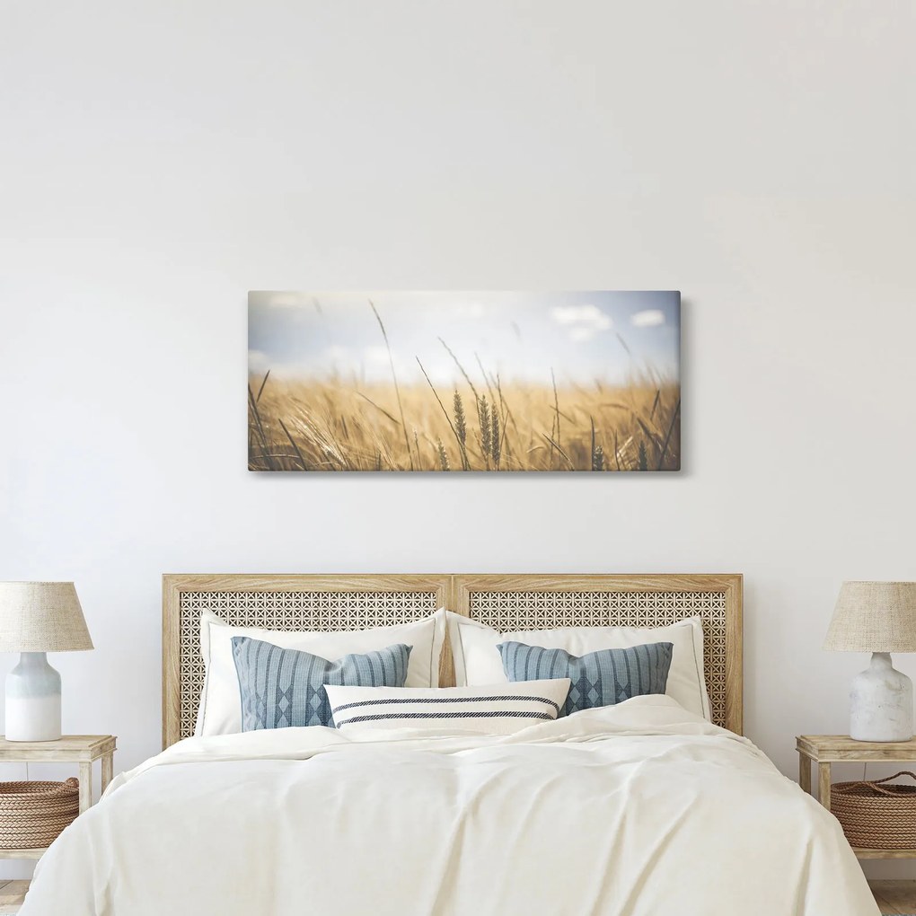 Obraz obilia (120x50 cm)