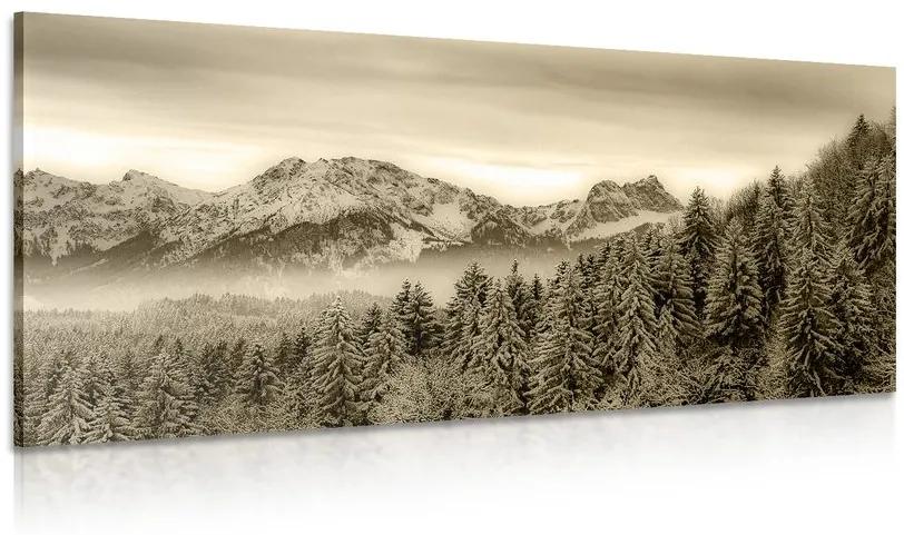 Obraz zamrznuté hory v sépiovom prevedení Varianta: 100x50