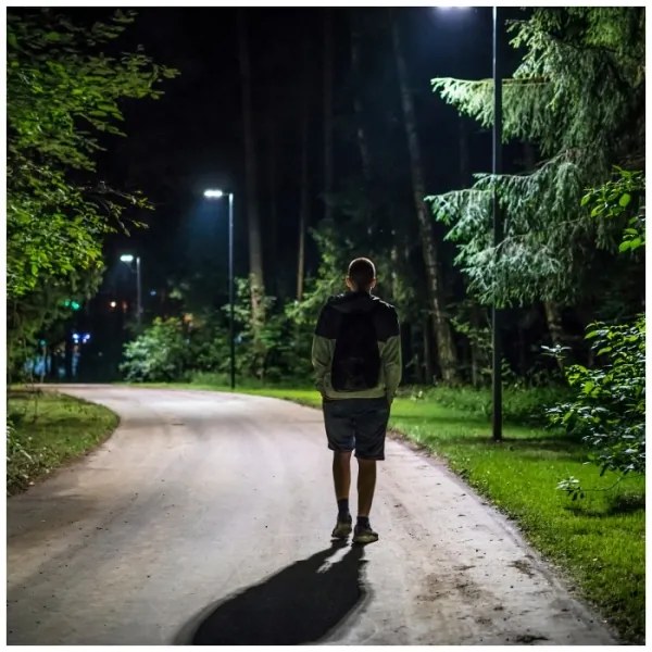 LED Solárna pouličná lampa so senzorom URBI LED/8W/3,2V 6500K IP54 + DO