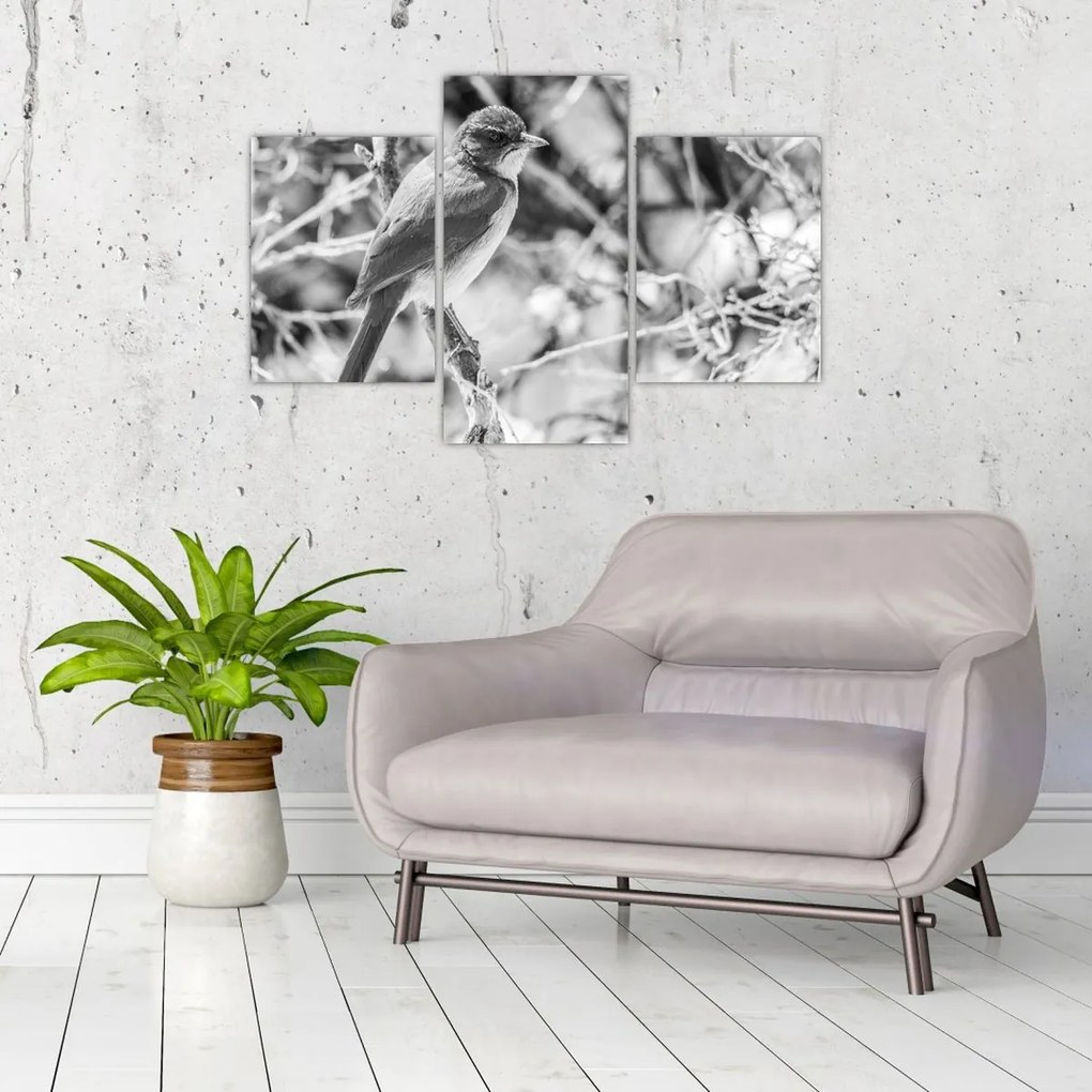 Obraz - Modrý vták v zime (90x60 cm)