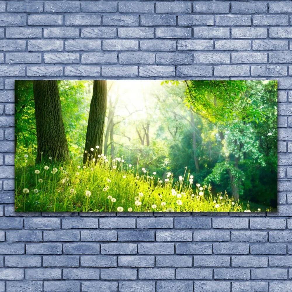 Obraz plexi Lúka príroda rastlina 120x60 cm