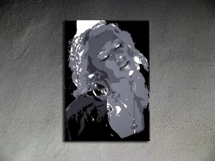Ručne maľovaný POP Christina Aguilera