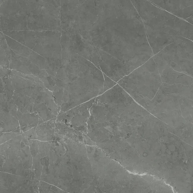 Dlažba Tessino Grey Pulido 60x60 R