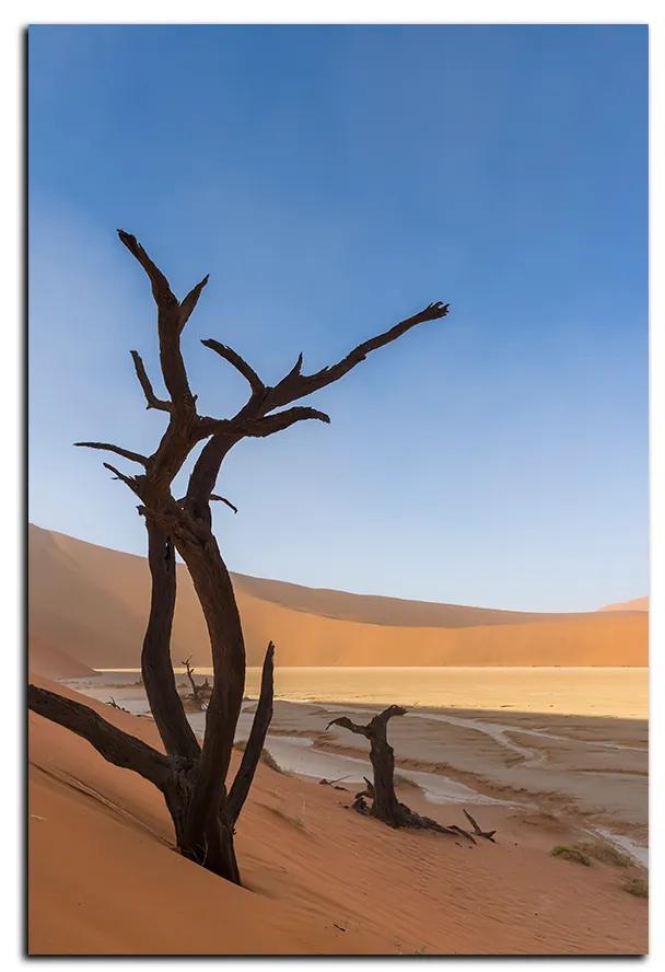 Obraz na plátne - Mŕtvy strom v dunach - obdĺžnik 7130A (120x80 cm)