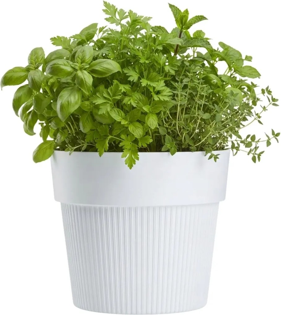 Sada 4 ks květináčů Silva Line bílá