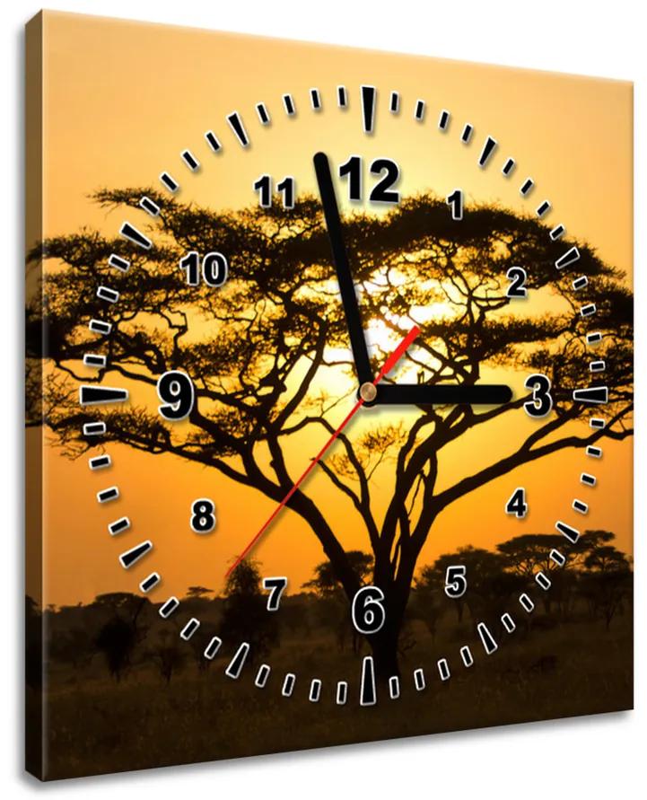 Gario Obraz s hodinami Akácia v Serengeti Rozmery: 100 x 40 cm