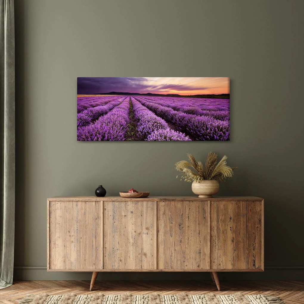 Obraz - Levanduľové pole pri západe slnka (120x50 cm)