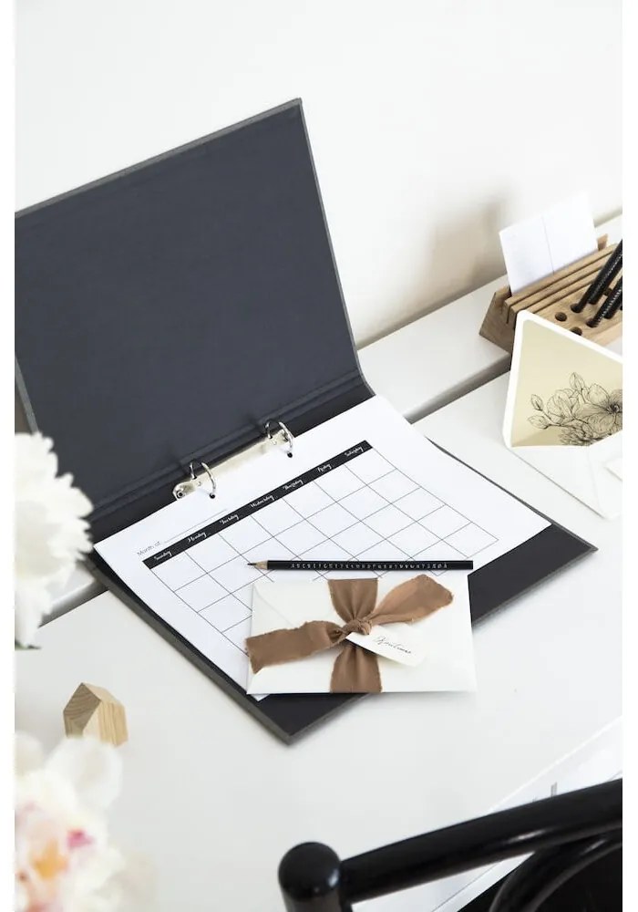 Kartónový organizér na dokumenty Ringo – Bigso Box of Sweden