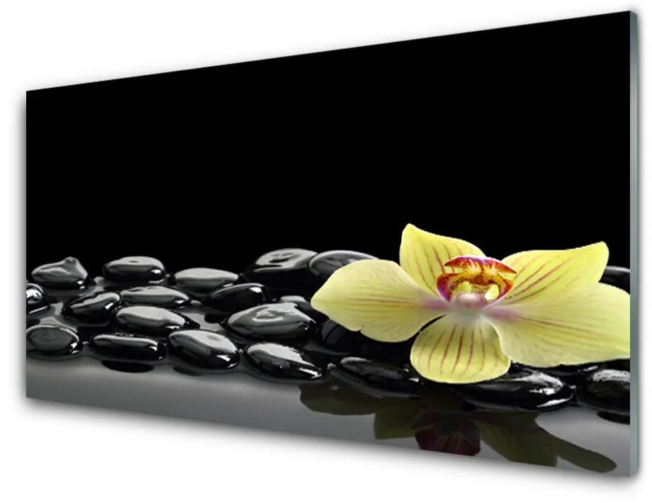 Skleneny obraz Kvet kamene kuchyňa 100x50 cm