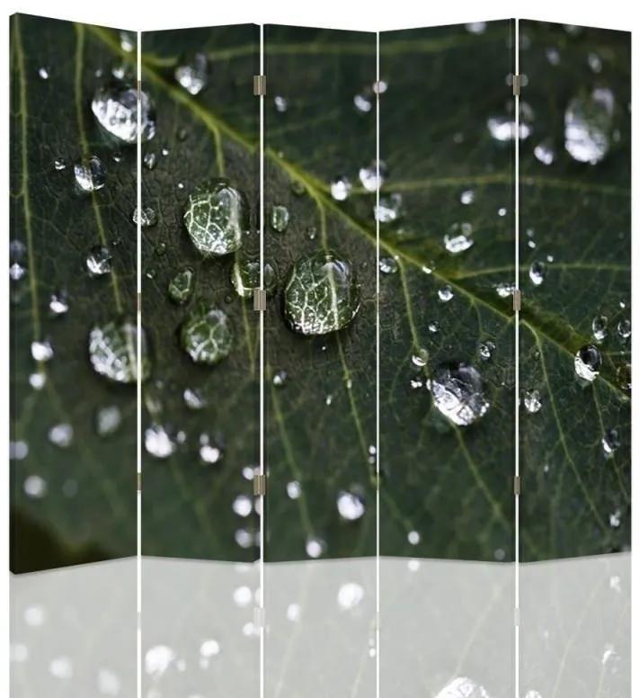 Ozdobný paraván Zelené listy kapky vody - 180x170 cm, päťdielny, obojstranný paraván 360°