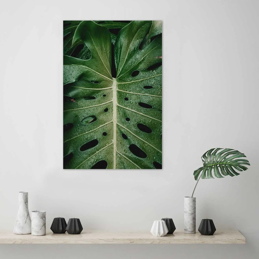 Gario Plagát List ikonickej monstery Farba rámu: Bez rámu, Rozmery: 20 x 30 cm