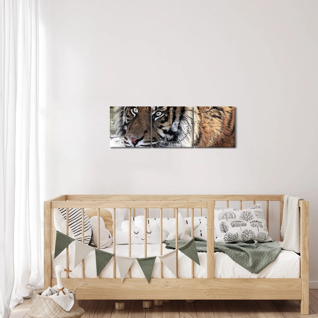 Obraz tigra (s hodinami) (90x30 cm)