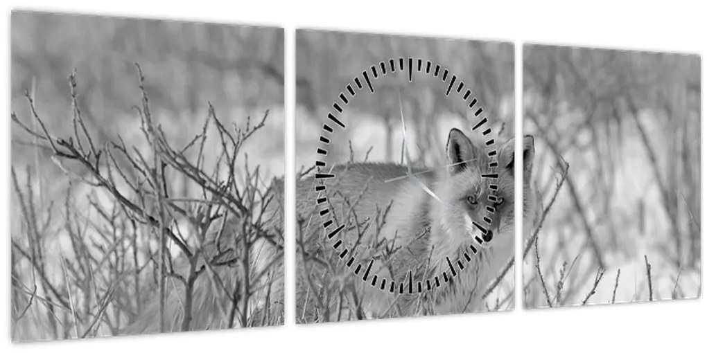 Obraz - Lišiak, čiernobiela (s hodinami) (90x30 cm)