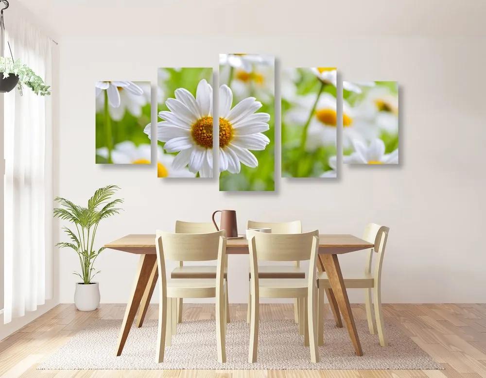 5-dielny obraz jarná lúka plná kvetov Varianta: 100x50