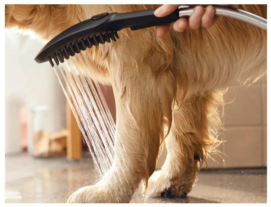 Hansgrohe DogShower - Ručná sprcha pre psa, biela matná 26640700