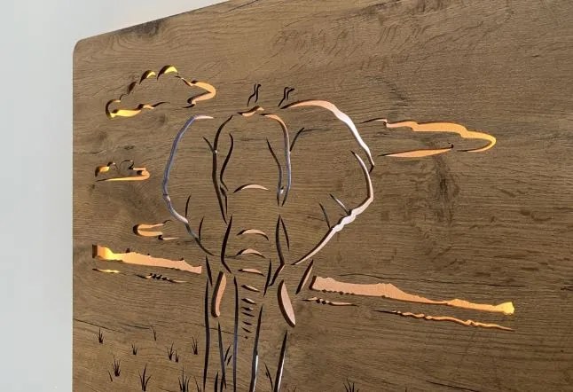 Led obraz Slon na batériu