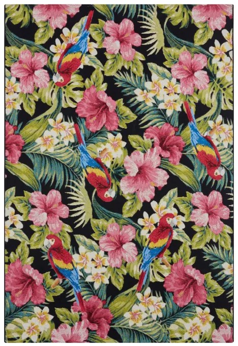 Koberec Hanse Home Flair Tropical Feeling viacfarebný