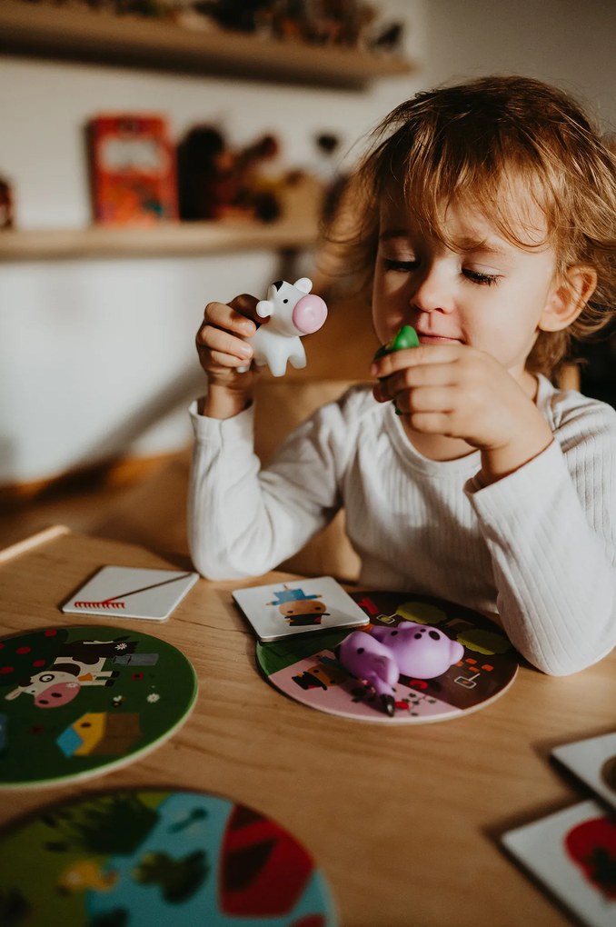 Kde a ako žijú zvieratká?