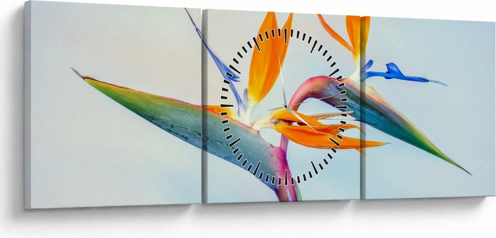 Obraz kvetu Strelícia (s hodinami) (90x30 cm)