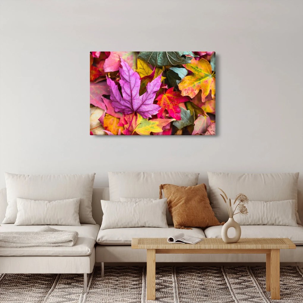 Obraz - jesenné listy (90x60 cm)