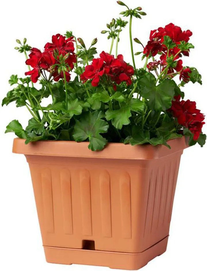 BAMA Kvetináč TERRA 20 x 20 cm, terracotta