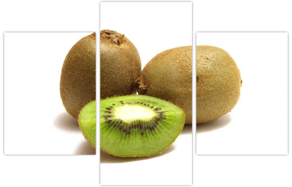 Obraz kiwi