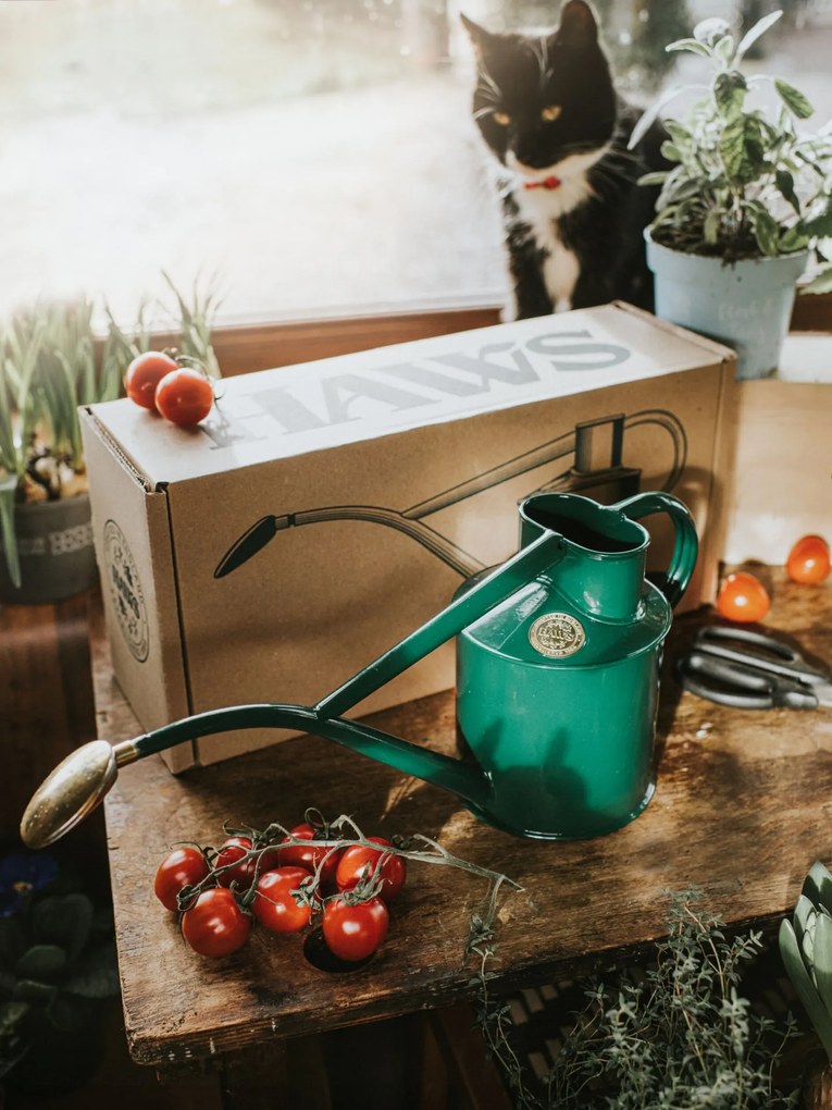 HAWS Krhlička s kropítkom Rowley Ripple Green – 1 l