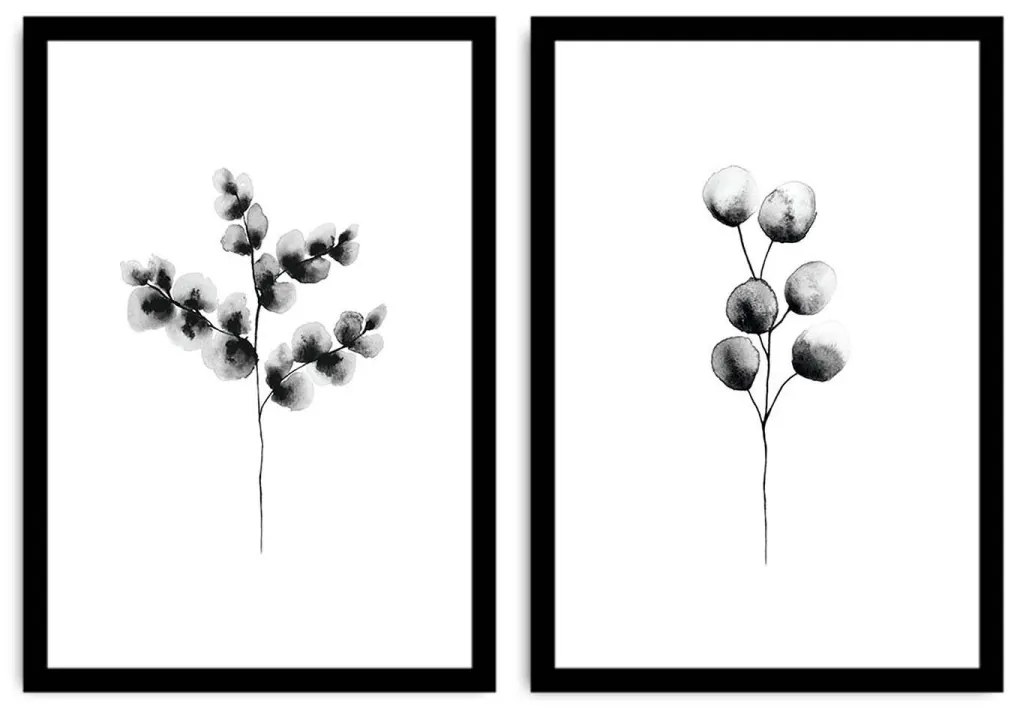 Súprava nástenných obrazov Calypto 36x51 cm 2 ks biela