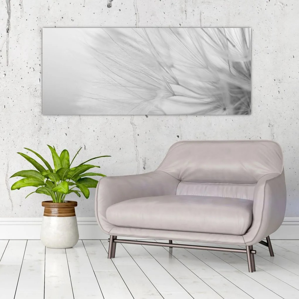 Obraz - Púpava (120x50 cm)