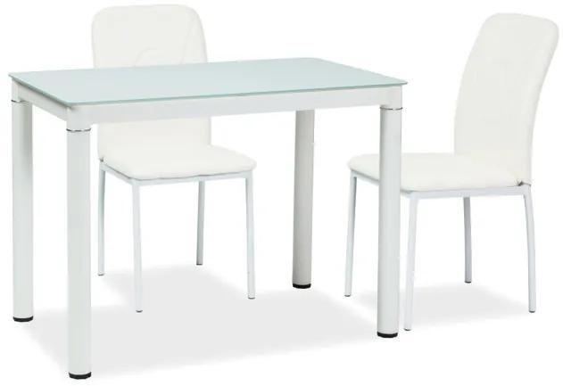Jedálenský stôl Gabriel (biela + biela) (pre 4 osoby). Vlastná spoľahlivá doprava až k Vám domov. 1050178