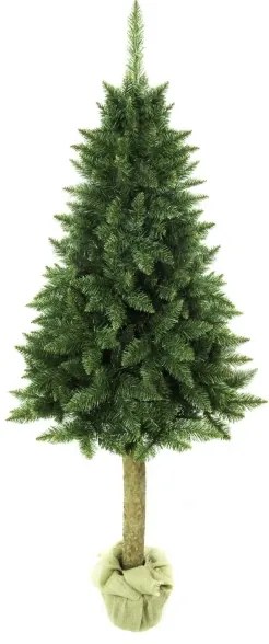 Vianočný stromček na kmeni 180 cm jedľa