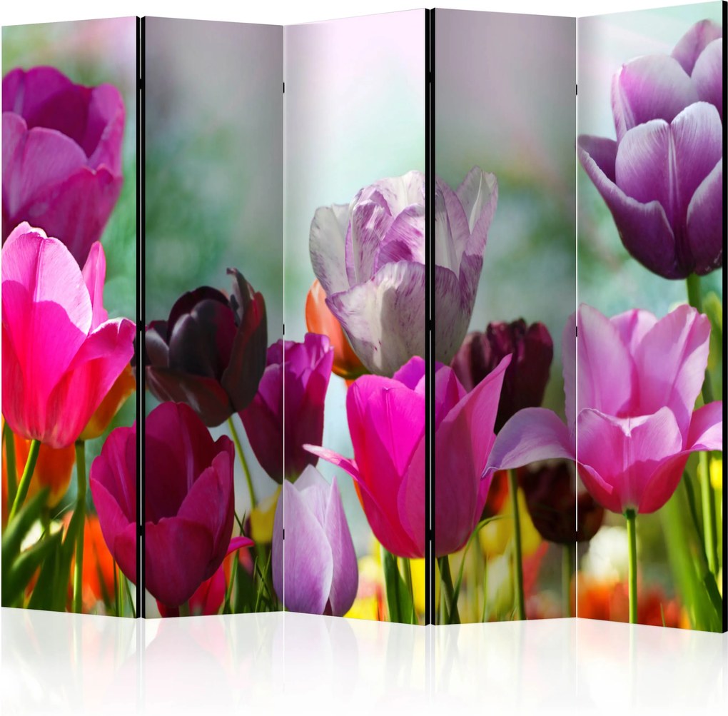 Paraván - Beautiful Tulips II [Room Dividers] 225x172