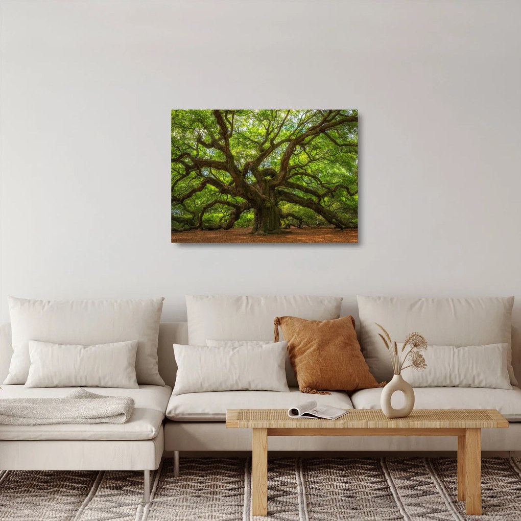 Sklenený obraz - Zelený strom (70x50 cm)