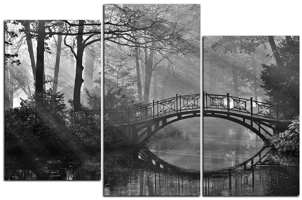 Obraz na plátne - Starý most  1139QD (105x70 cm)