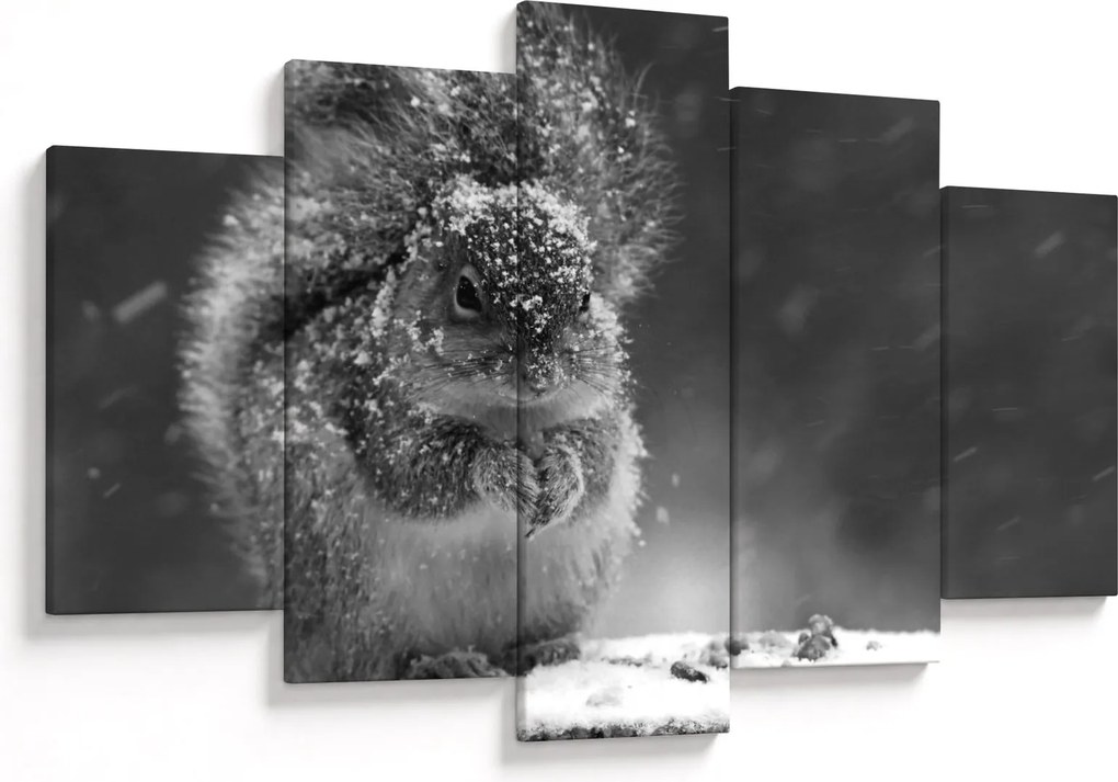 Obraz - Veverička v zime (150x105 cm)