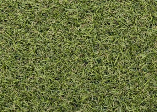 Koberce Breno Umelá tráva PRADO, šíře role 200 cm, zelená