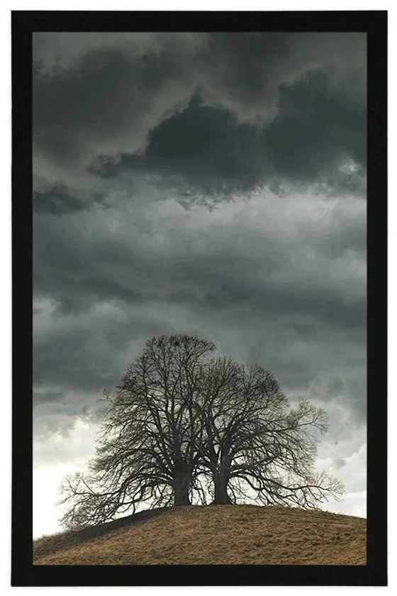Plagát osamelé stromy - 40x60 silver