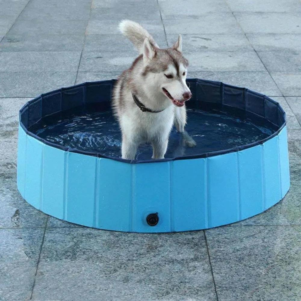 Bazén pre psov