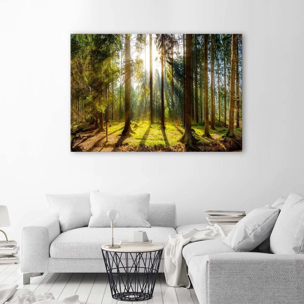 Gario Obraz na plátne Lúče v slnečnom lese Rozmery: 90 x 60 cm