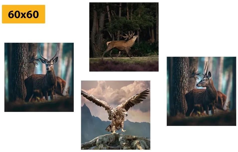 Set obrazov krása lesných zvierat - 4x 40x40