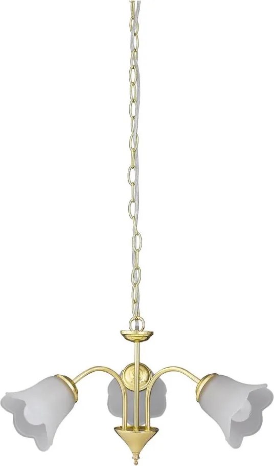 Rabalux 7233 - Luster na reťazi RAFAELLA 3xE14/40W/230V