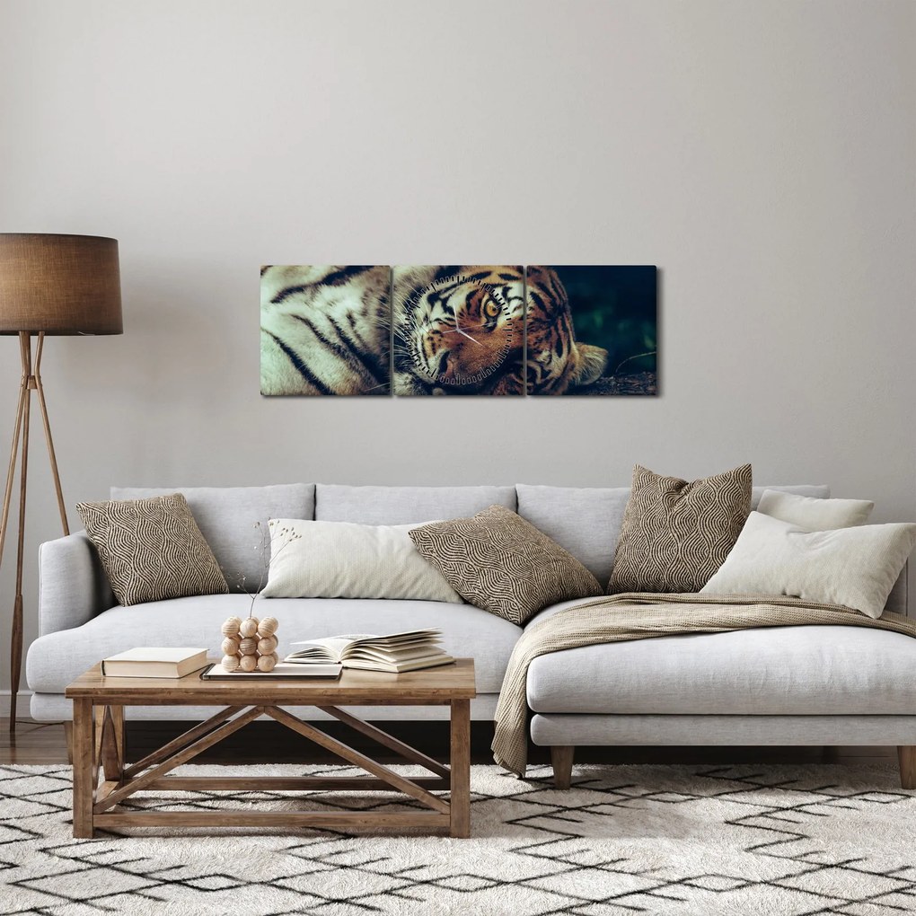 Obraz - Tiger Sibírsky (s hodinami) (90x30 cm)