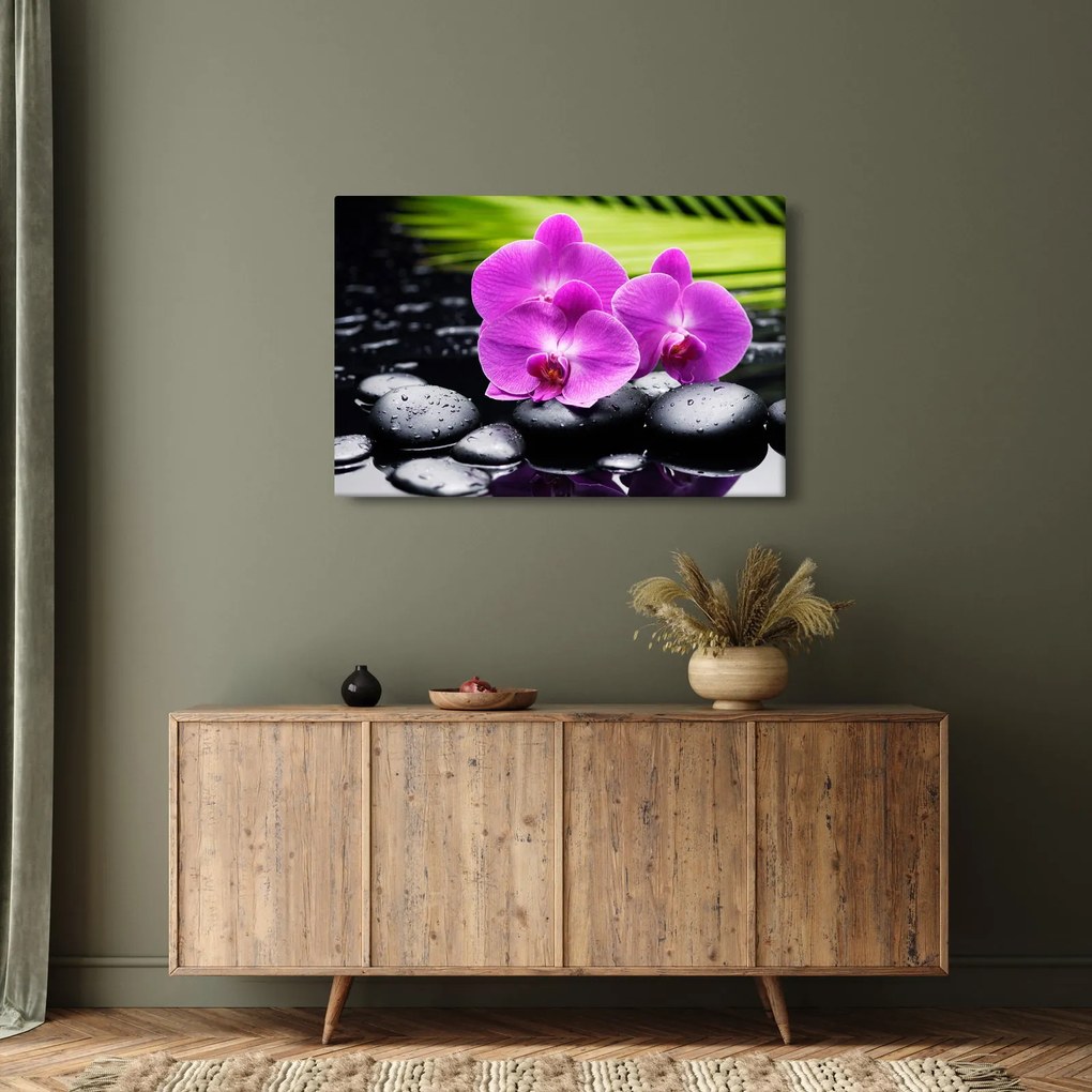 Obraz - Orchidey (90x60 cm)