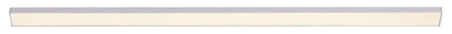 Paul Neuhaus Paul Neuhaus 1125-21-A - LED Podlinkové svietidlo  AMON LED/6W/12/230V W2046