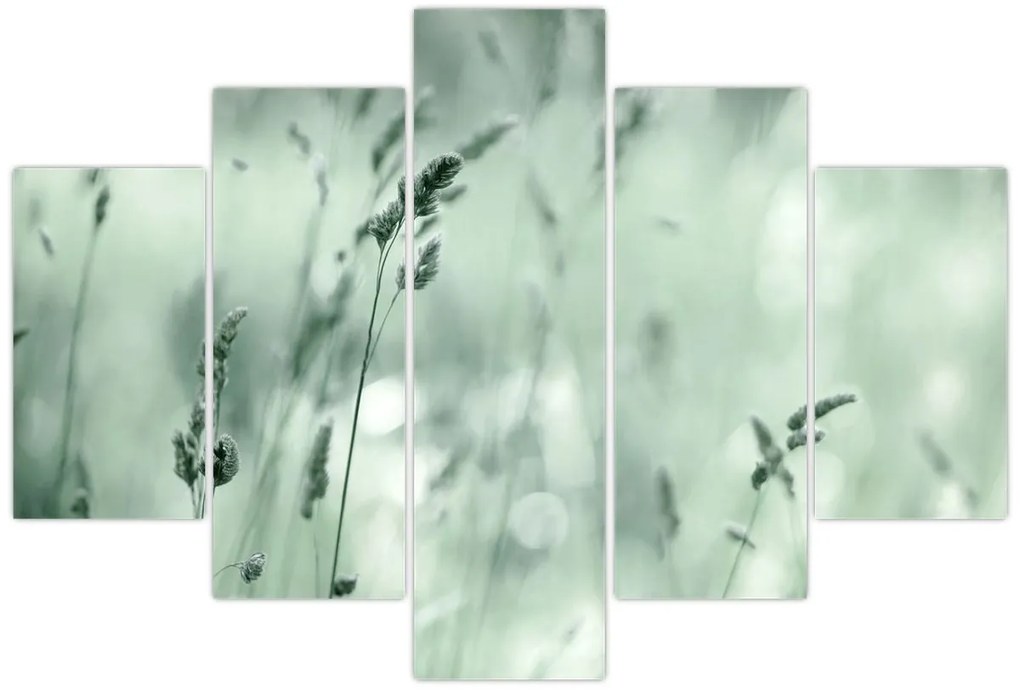 Obraz - Zelená lúka (150x105 cm)