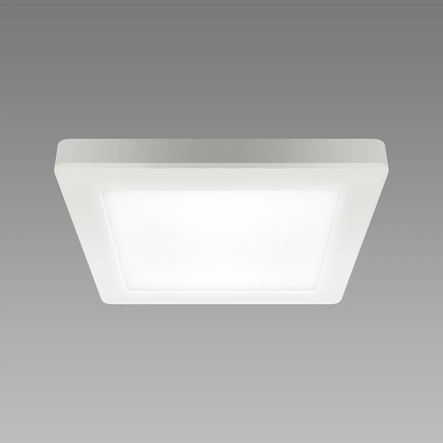 Stropné svietidlo prisadené OLGA LED D 12W WHITE CCT 04061 PL1